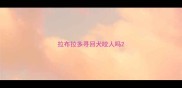 拉布拉多寻回犬咬人吗