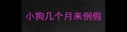 小狗几个月来例假