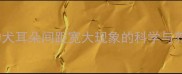 哈士奇幼犬耳朵间距宽大现象的科学与养护指南