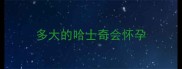 多大的哈士奇会怀孕