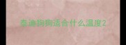 泰迪狗狗适合什么温度