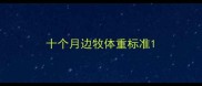十个月边牧体重标准