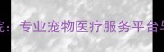 北京农学院宠物医院专业宠物医疗服务平台与24小时急救中心全