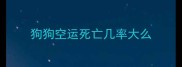 狗狗空运死亡几率大么