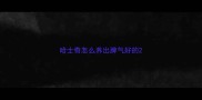 哈士奇怎么养出脾气好的