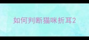 如何判断猫咪折耳