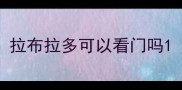 拉布拉多可以看门吗