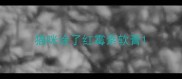 猫咪涂了红霉素软膏
