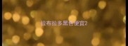 拉布拉多黑色便宜