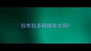 拉布拉多眼睛发光吗