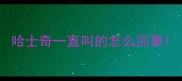 哈士奇一直叫的怎么回事