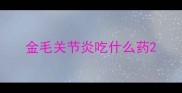 金毛关节炎吃什么药