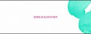 宠物免洗泡沫如何使用