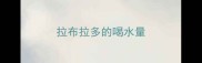 拉布拉多的喝水量