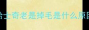 哈士奇老是掉毛是什么原因
