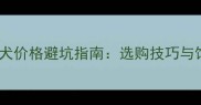 拉布拉多幼犬价格避坑指南选购技巧与饲养建议全