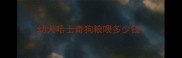 幼犬哈士奇狗粮喂多少钱