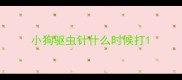 小狗驱虫针什么时候打