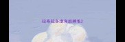 拉布拉多绝育后掉毛