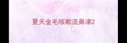 夏天金毛咳嗽流鼻涕
