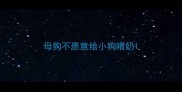 母狗不愿意给小狗喂奶