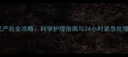 泰迪犬产后全攻略科学护理指南与24小时紧急处理方案