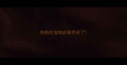 狗狗在宠物店寄养死了