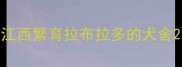 江西繁育拉布拉多的犬舍