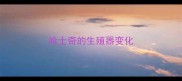 哈士奇的生殖器变化