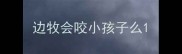 边牧会咬小孩子么