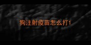 狗注射疫苗怎么打