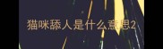 猫咪舔人是什么意思