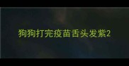 狗狗打完疫苗舌头发紫
