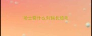 哈士奇什么时候长腮毛