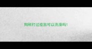 狗刚打过疫苗可以洗澡吗