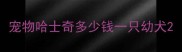 宠物哈士奇多少钱一只幼犬