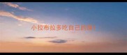 小拉布拉多吃自己的屎