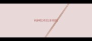 纯种拉布拉多相貌