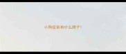 小狗疫苗有什么牌子