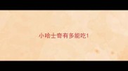 小哈士奇有多能吃