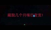 藏獒几个月嘴巴变宽