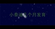 小泰迪几个月发育