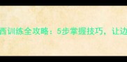 边境牧羊犬捡东西训练全攻略5步掌握技巧让边牧成为家庭助手