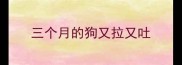 三个月的狗又拉又吐
