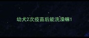 幼犬2次疫苗后能洗澡嘛