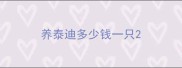 养泰迪多少钱一只