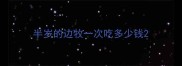 半岁的边牧一次吃多少钱