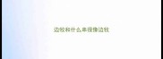 边牧和什么串很像边牧
