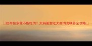 拉布拉多能不能吃肉犬科最贪吃犬的肉食喂养全攻略