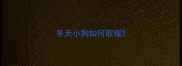 冬天小狗如何取暖